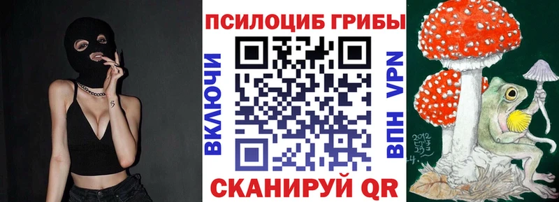 наркота OMG сайт Псилоцибиновые грибы GOLDEN TEACHER Горячеводский